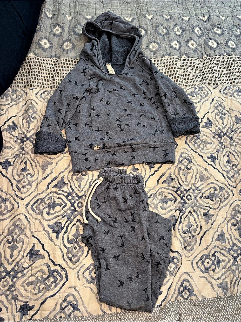 CHILDHOODS Clothing Beach Bird Print Hoodie & Pants Set